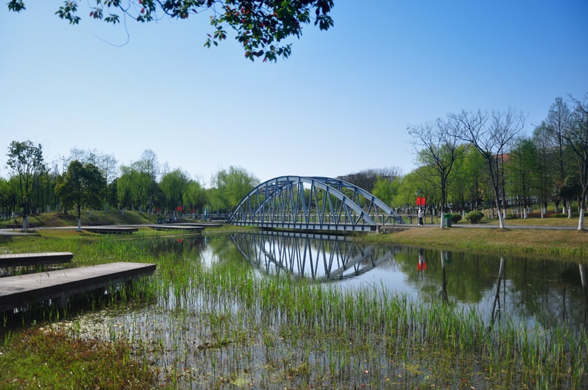 春天的中江公园（续）