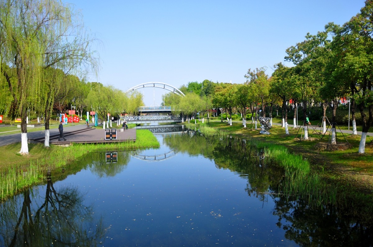 春天的中江公园（续）