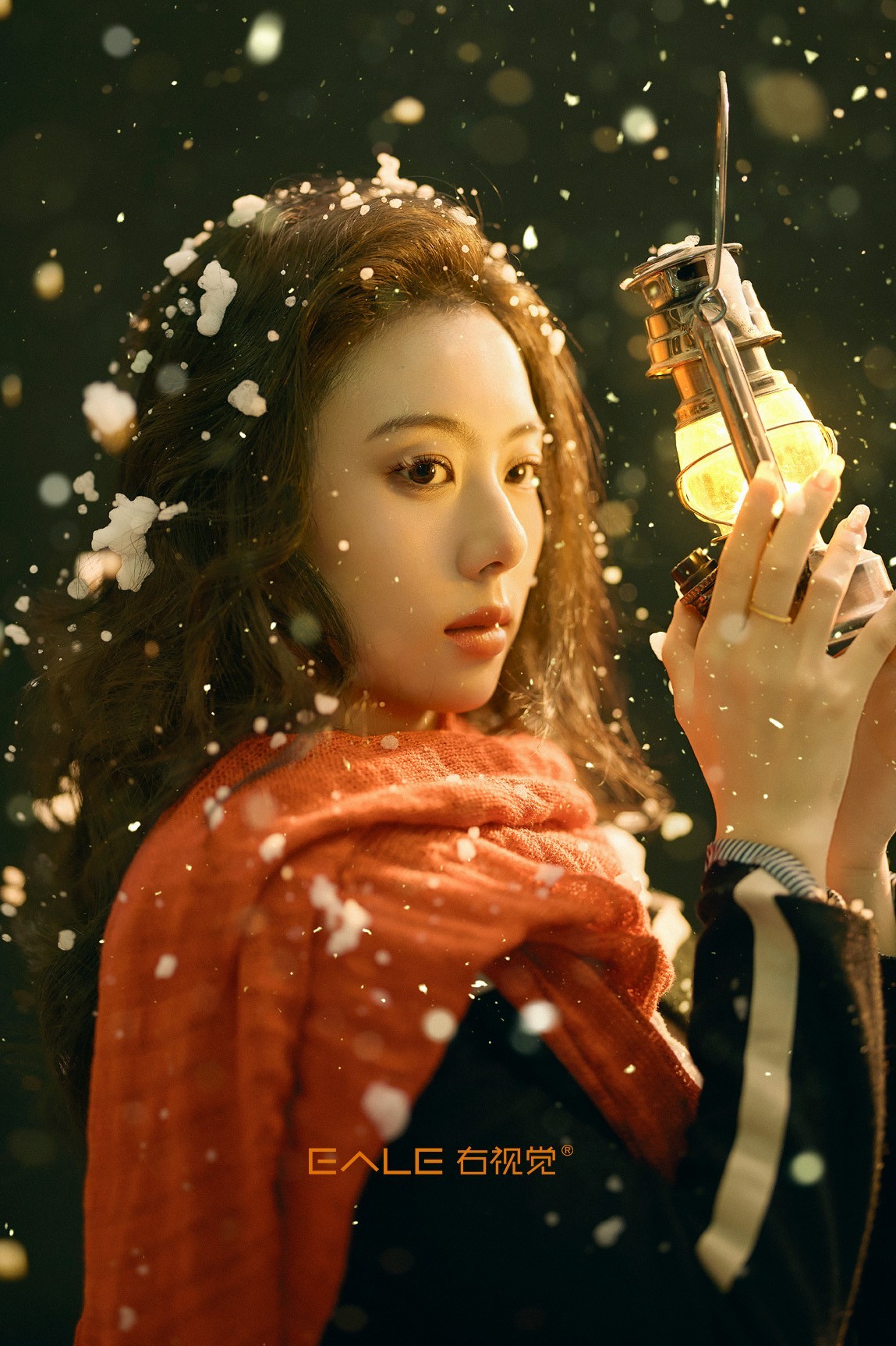 【右视觉摄影】雪落无期 等待成殇