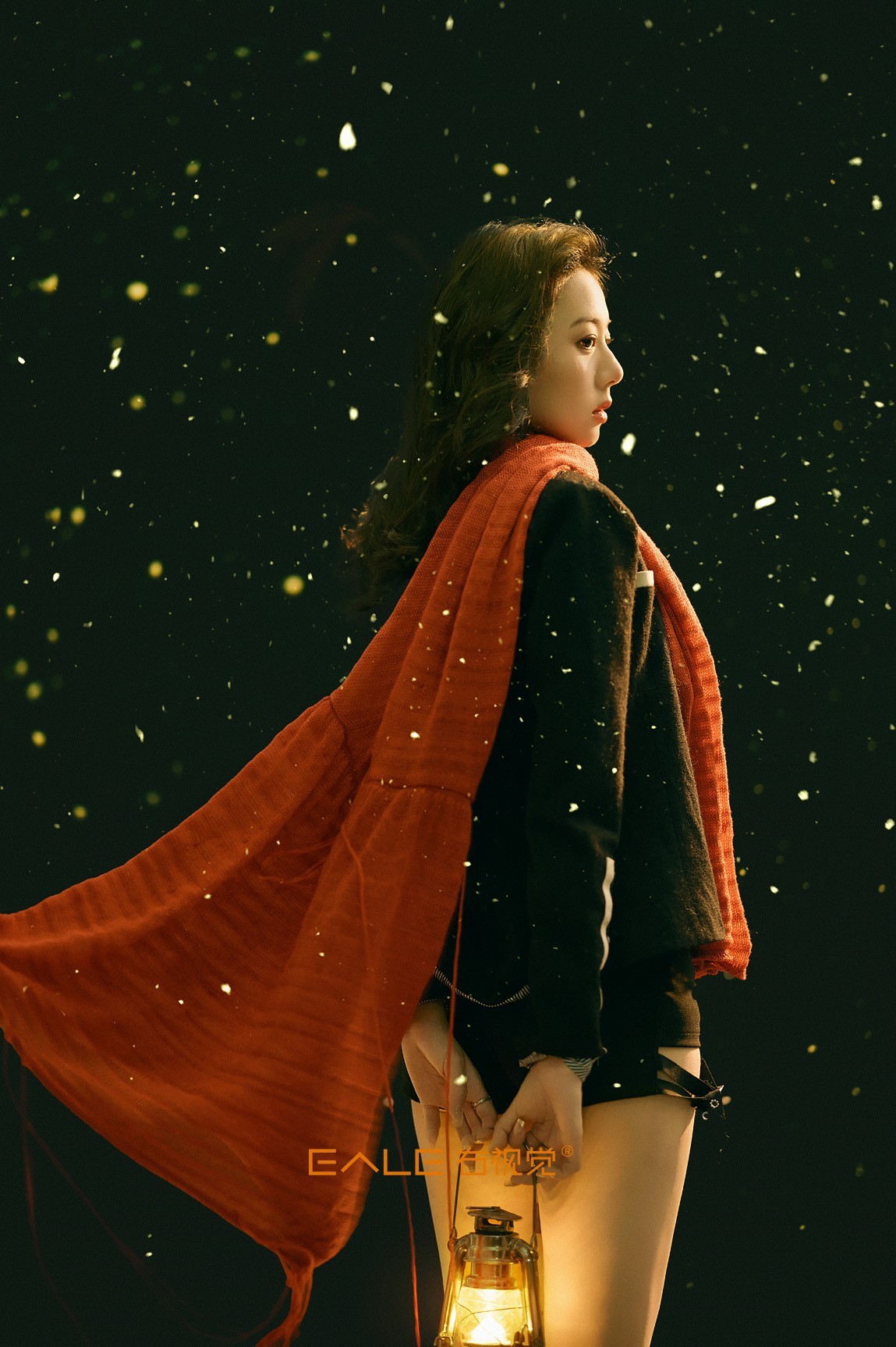 【右视觉摄影】雪落无期 等待成殇