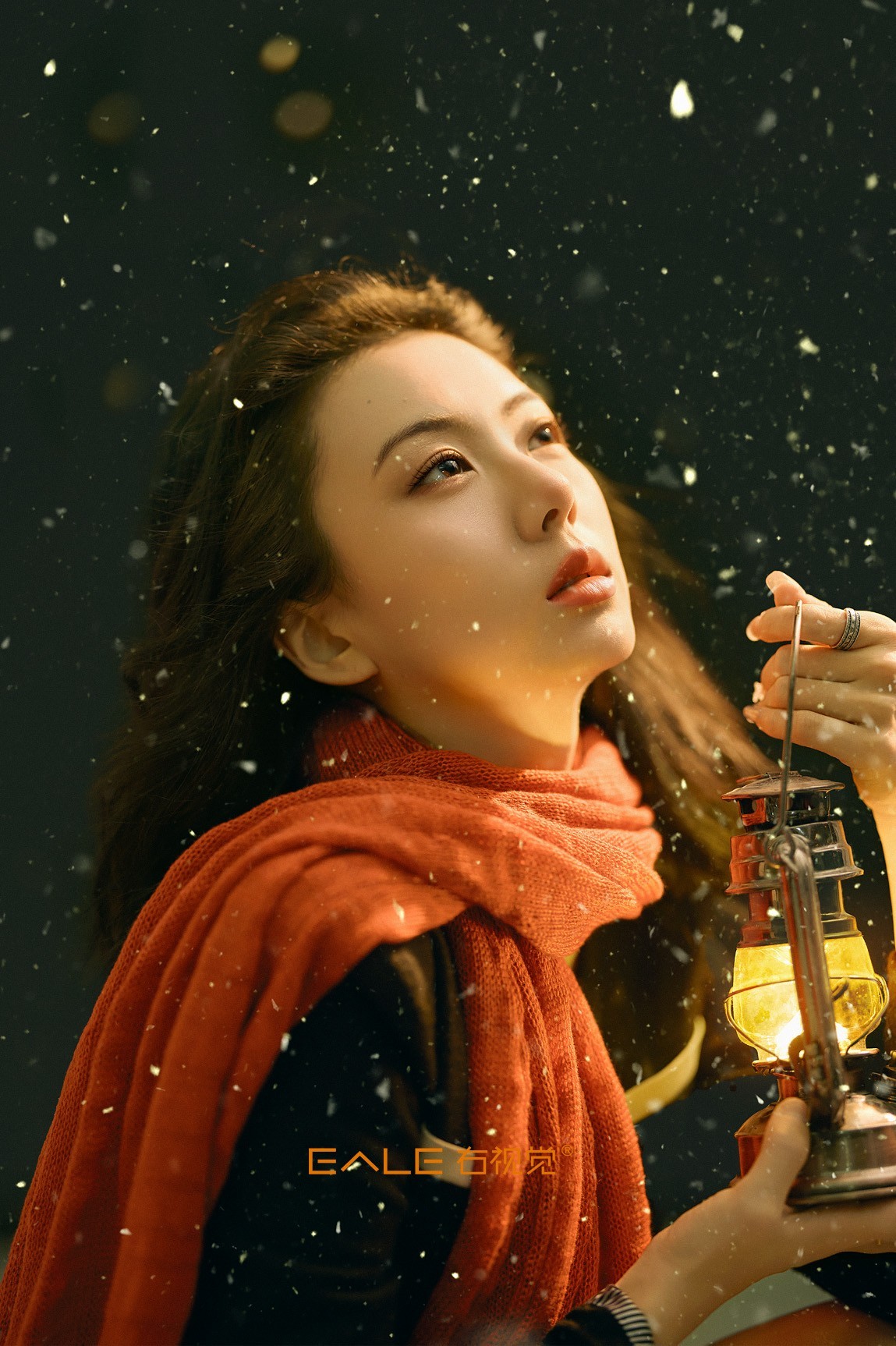 【右视觉摄影】雪落无期 等待成殇