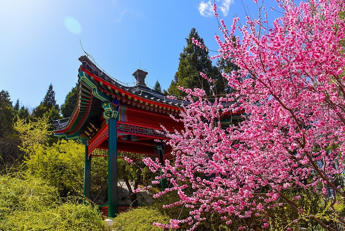 2025年第0224贴-陶然亭公园风光拍（0403）