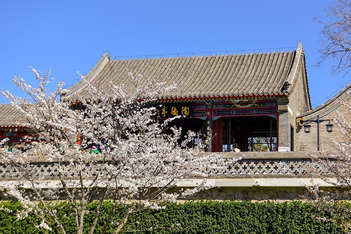 2025年第0224贴-陶然亭公园风光拍（0403）