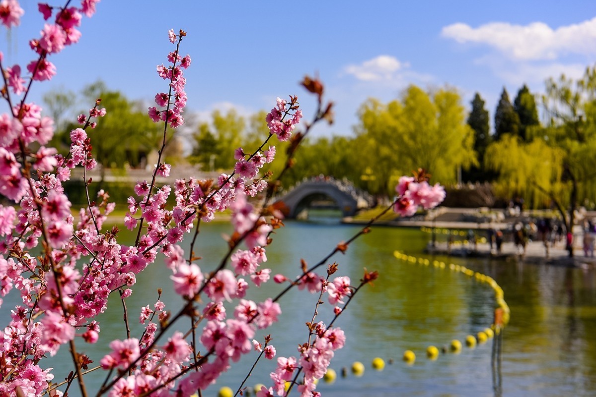 2025年第0224贴-陶然亭公园风光拍（0403）