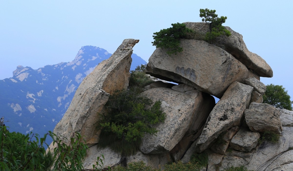 我只是把出去看到的随手记录下来（176）