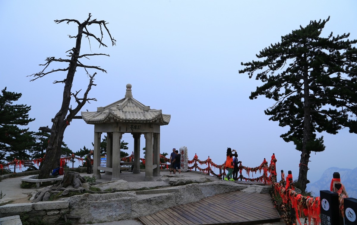 我只是把出去看到的随手记录下来（176）