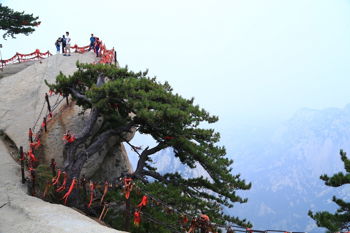 我只是把出去看到的随手记录下来（176）