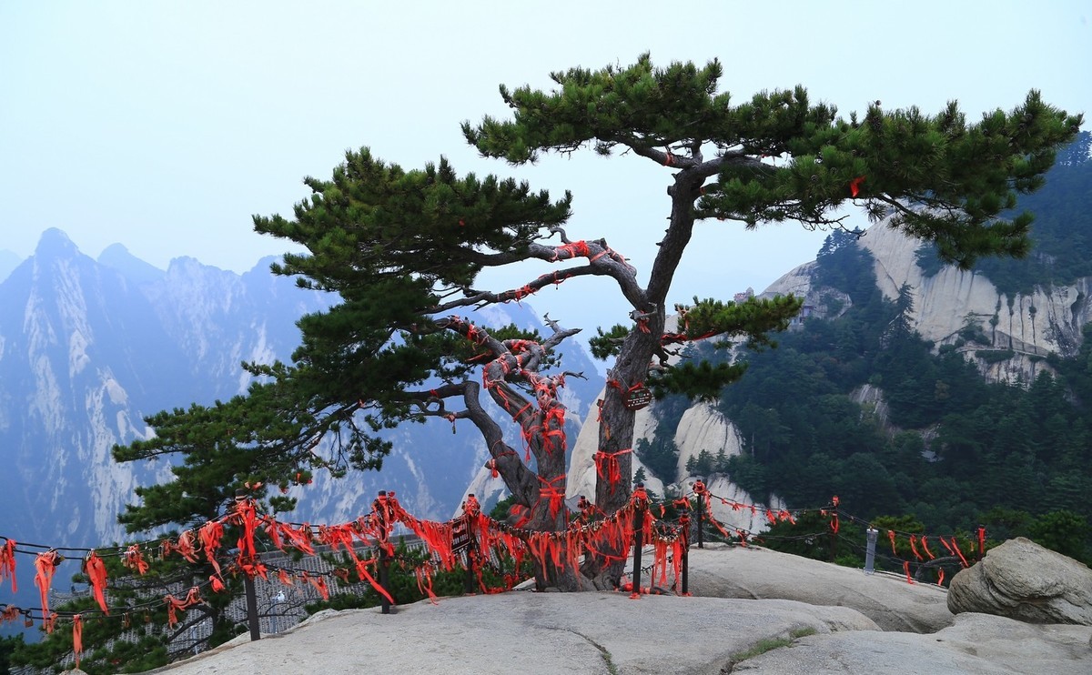 我只是把出去看到的随手记录下来（176）