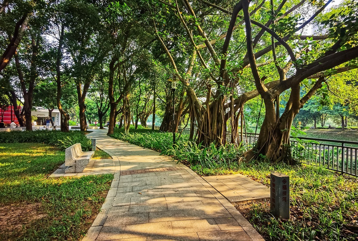 深圳中心公园掠影