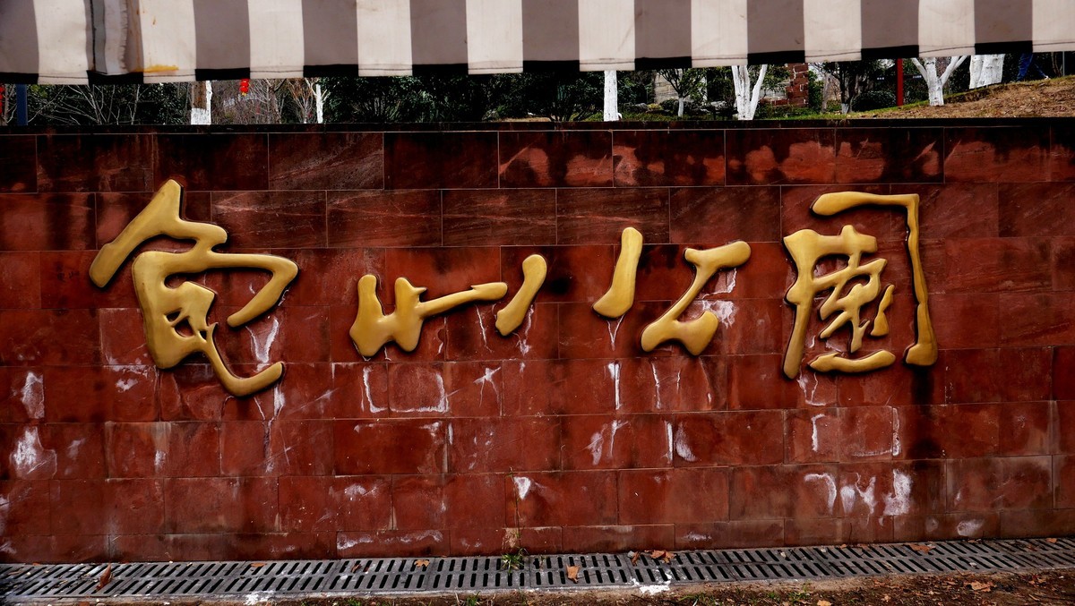 武汉映像---龟山公园风光！