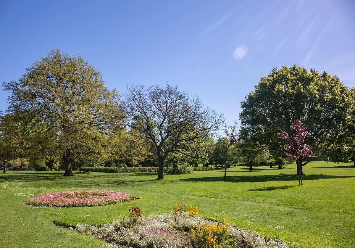 春光与绿色（二）