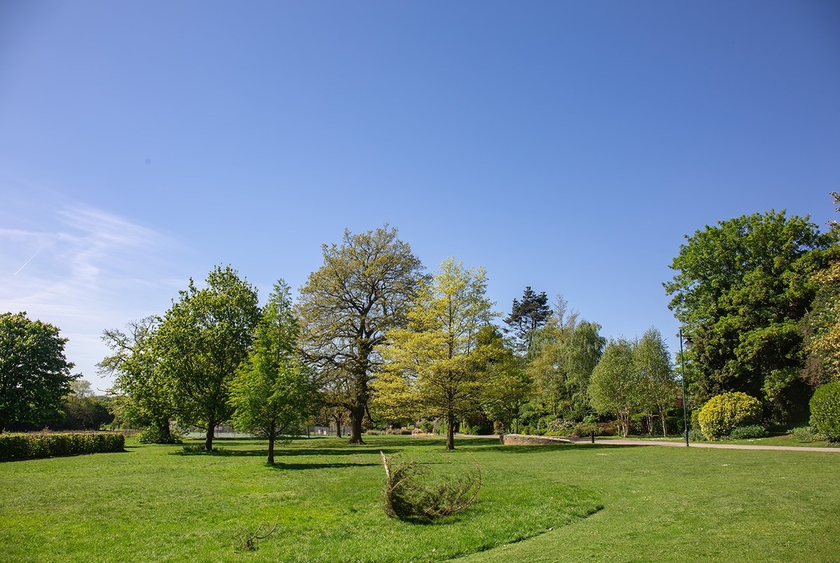 春光与绿色（二）