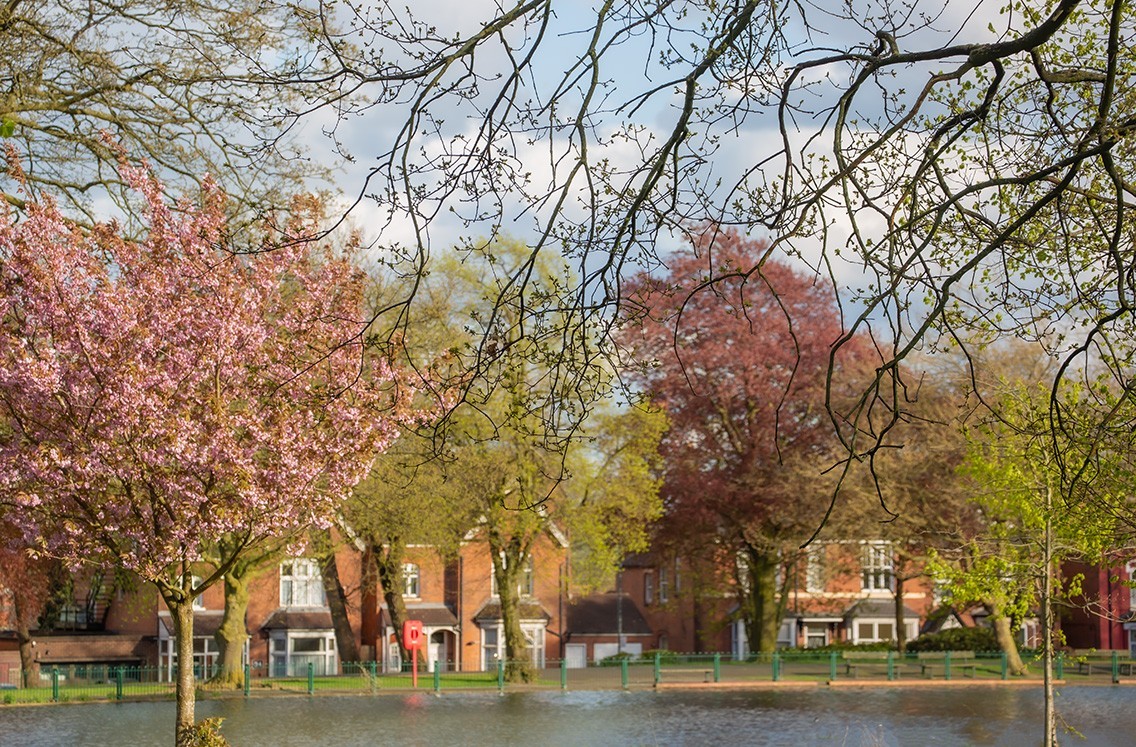 春光与绿色（二）