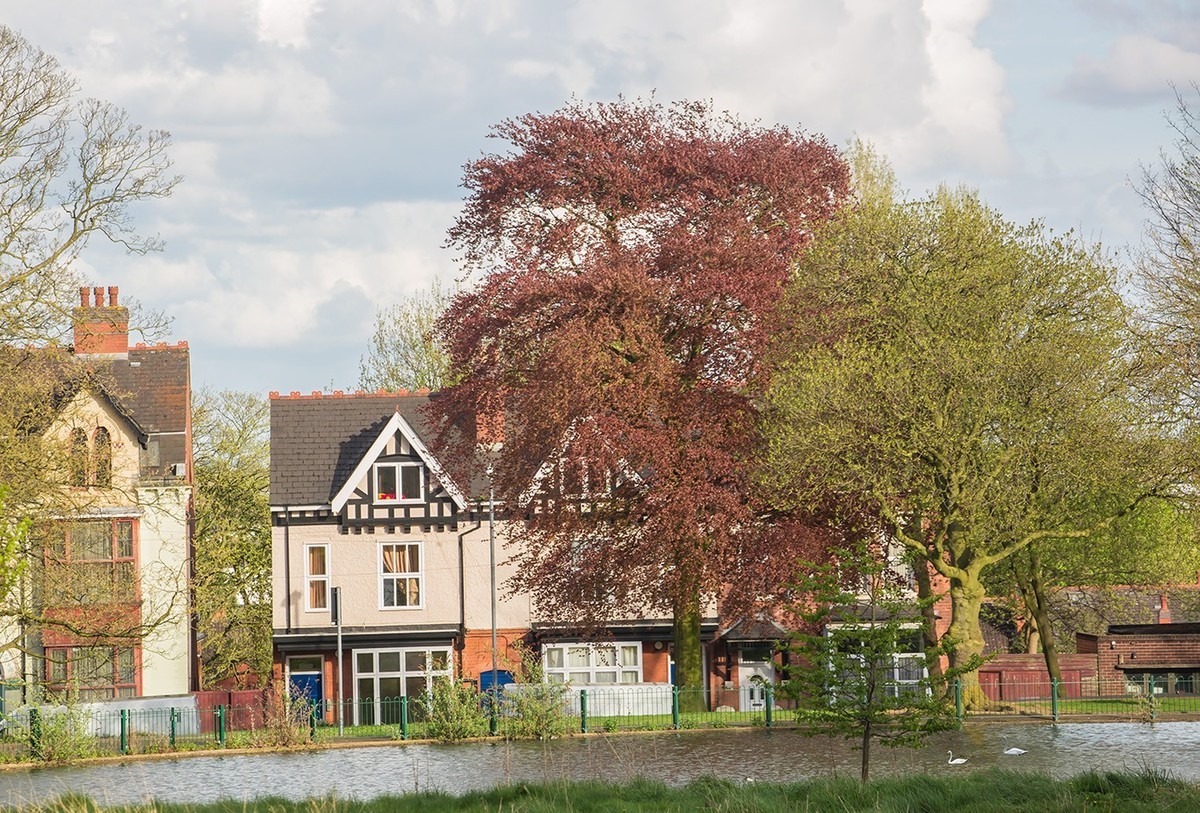 春光与绿色（二）