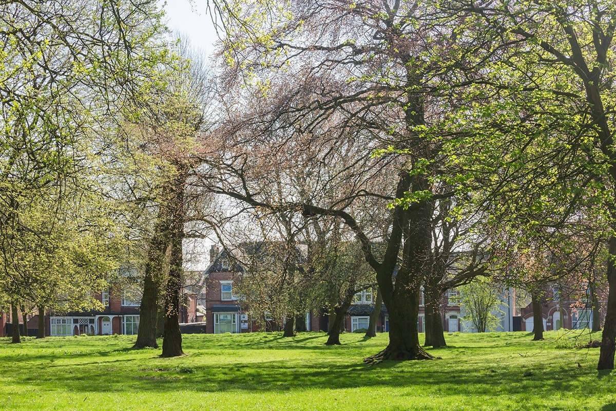 春光与绿色（二）