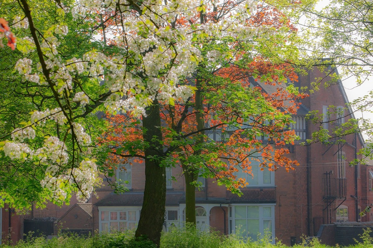 春光与绿色（二）