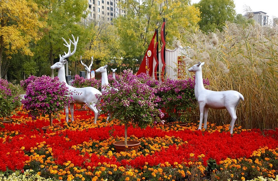 10【不老松：纪实摄影】晚秋既将逝去。初冬随即来临！拍自沧州長芦公园！《01》