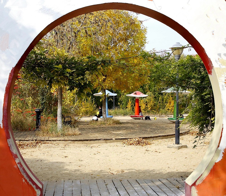 10【不老松：纪实摄影】晚秋既将逝去。初冬随即来临！拍自沧州長芦公园！《02》