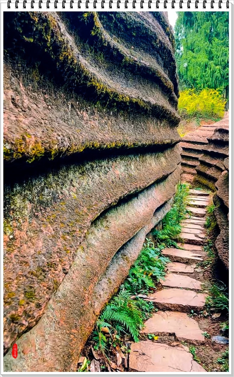 2022年红石山抓拍-18