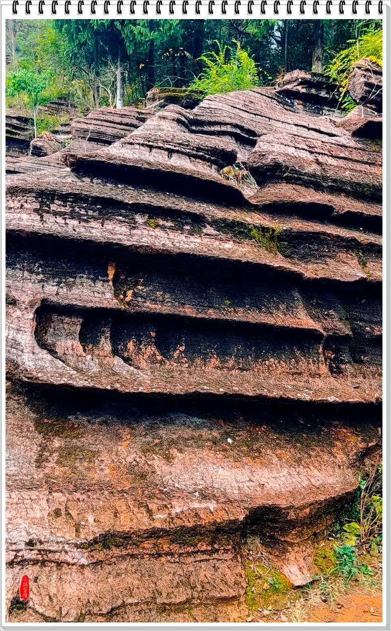 2022年红石山抓拍-18