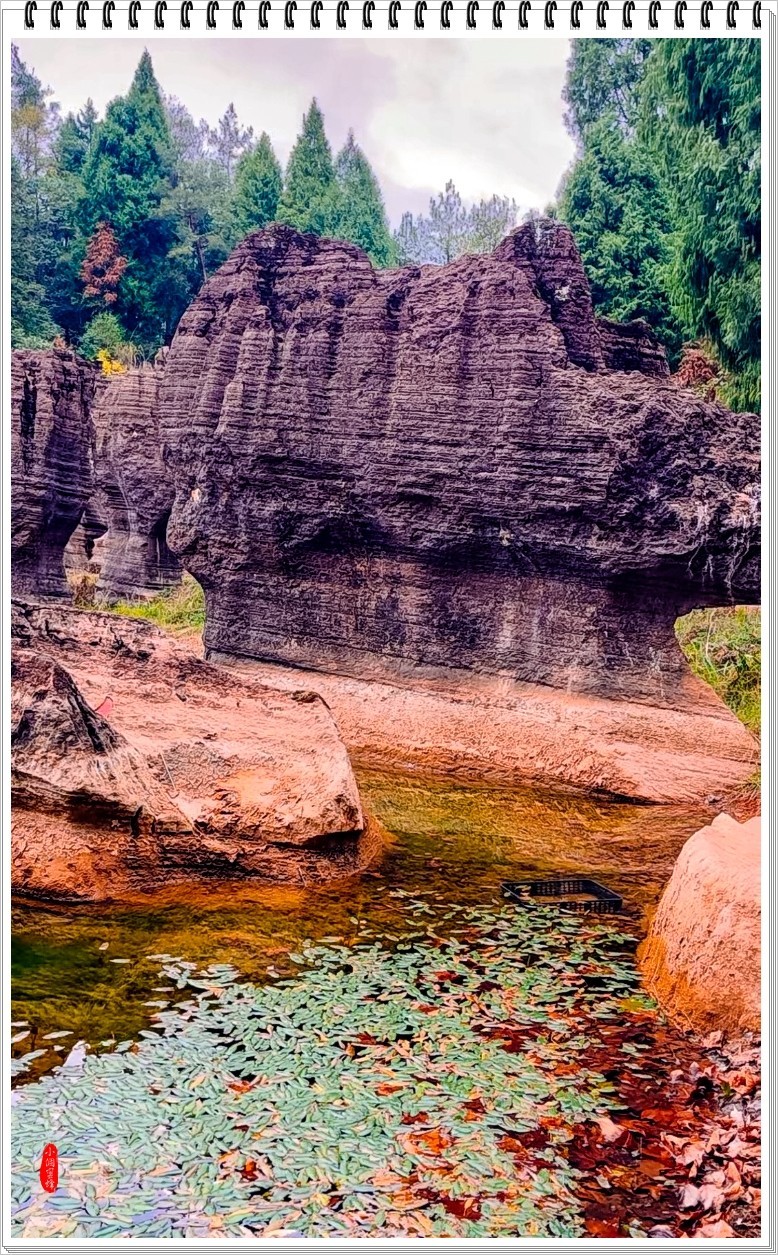 2022年红石山抓拍-18