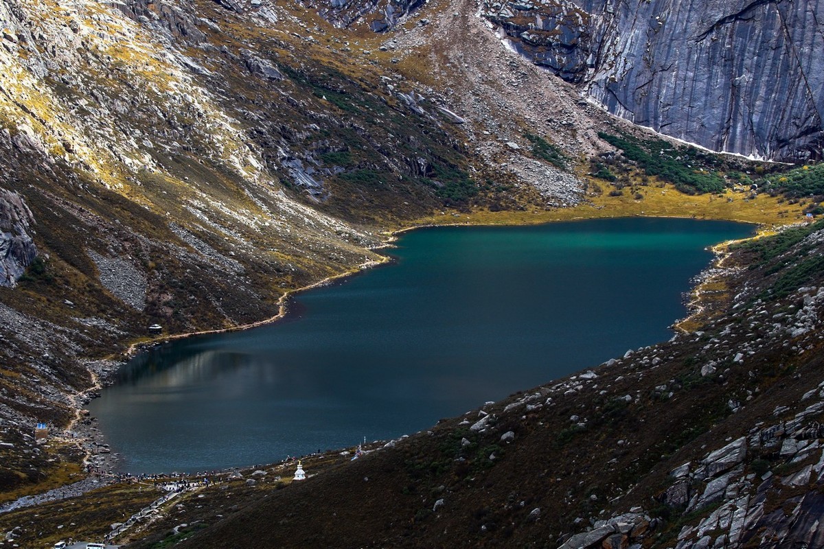 长焦拍了几张莲宝叶则