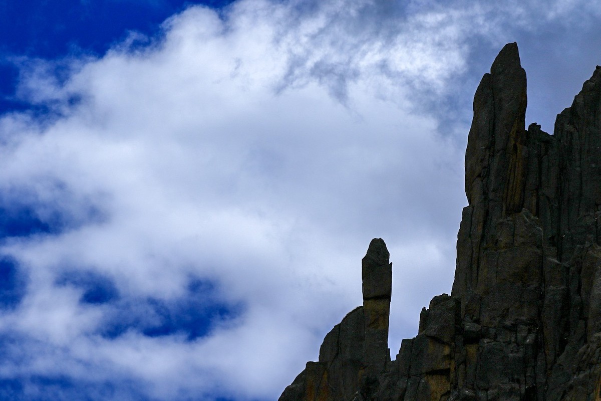 长焦拍了几张莲宝叶则