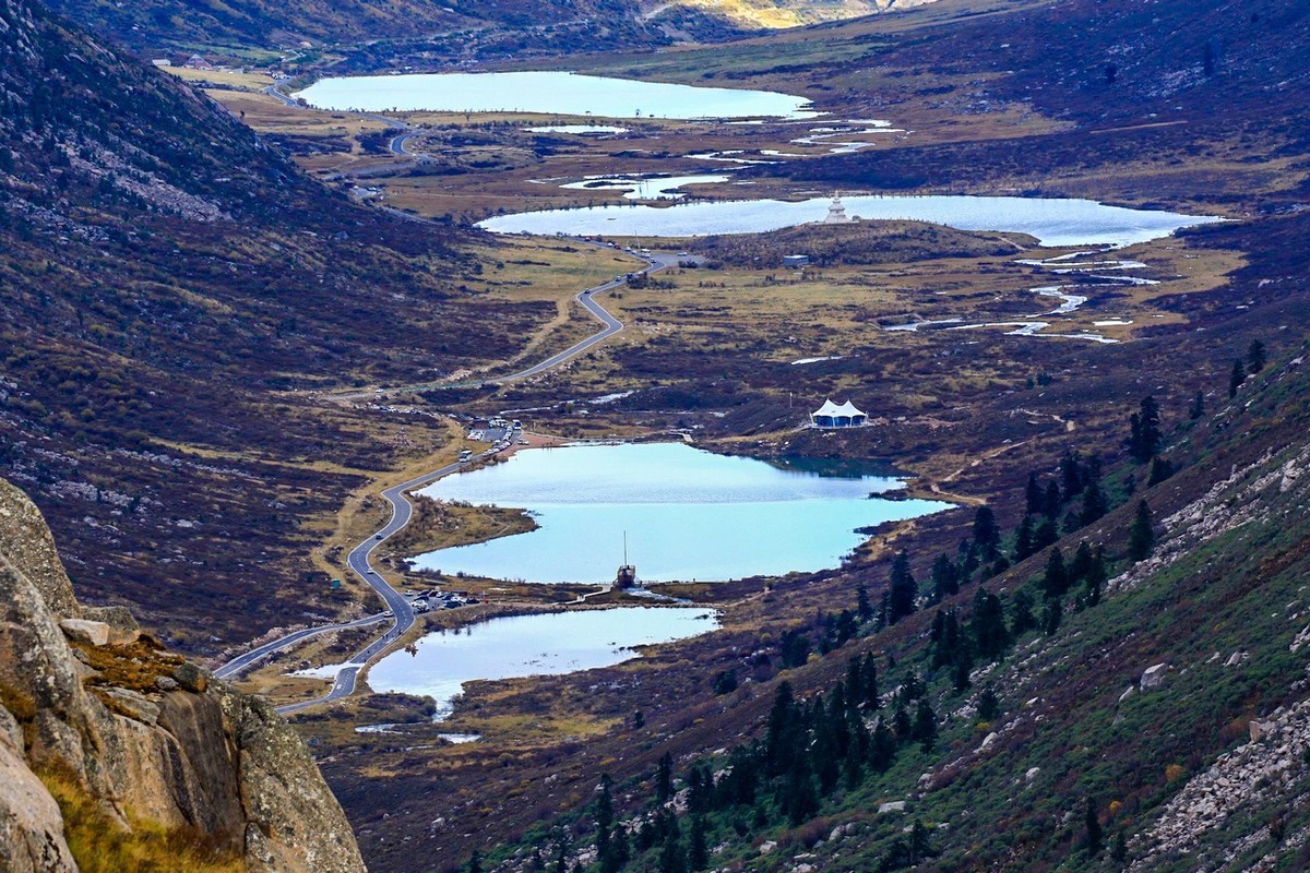 长焦拍了几张莲宝叶则