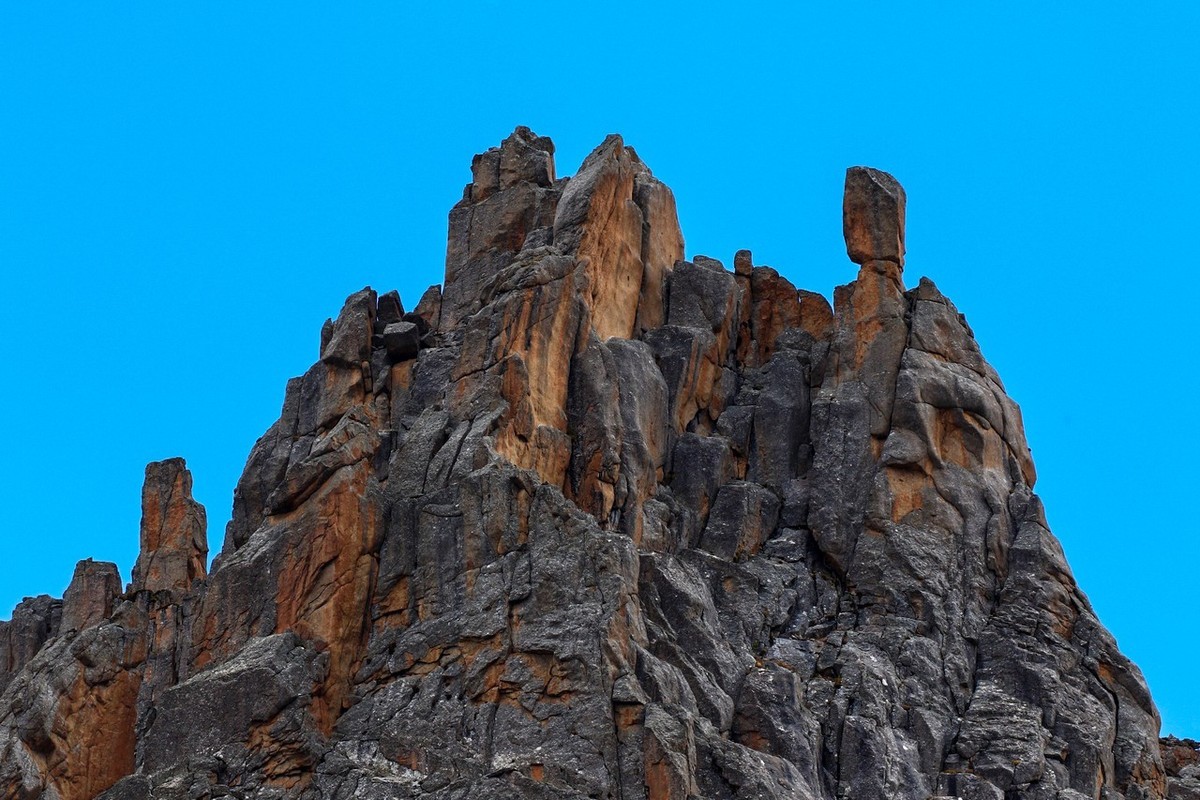 长焦拍了几张莲宝叶则