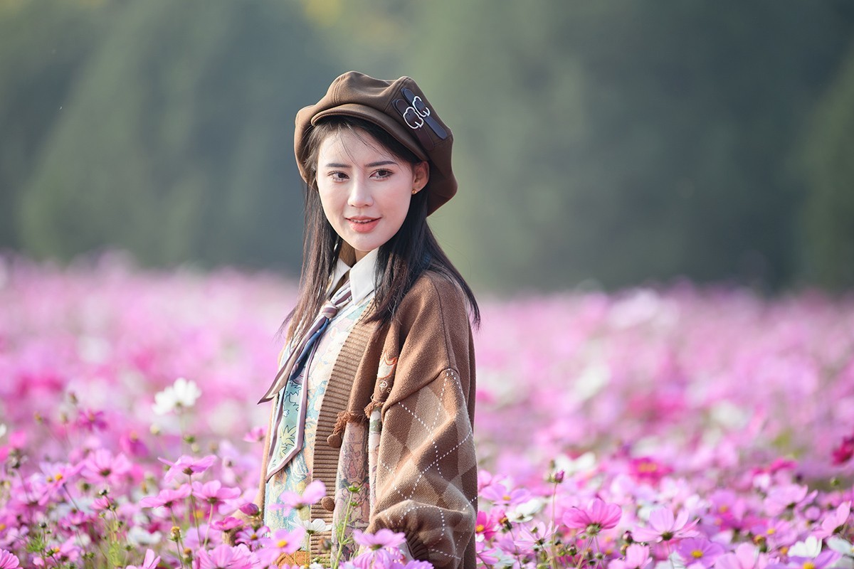 格桑花海俏佳丽