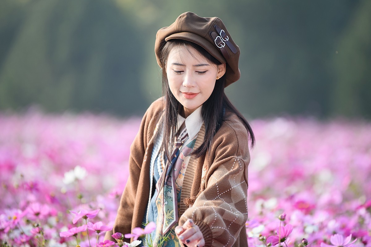 格桑花海俏佳丽