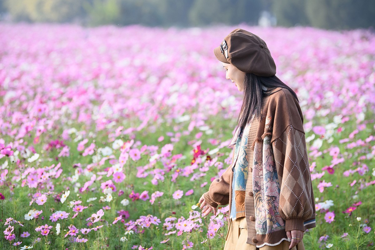 格桑花海俏佳丽