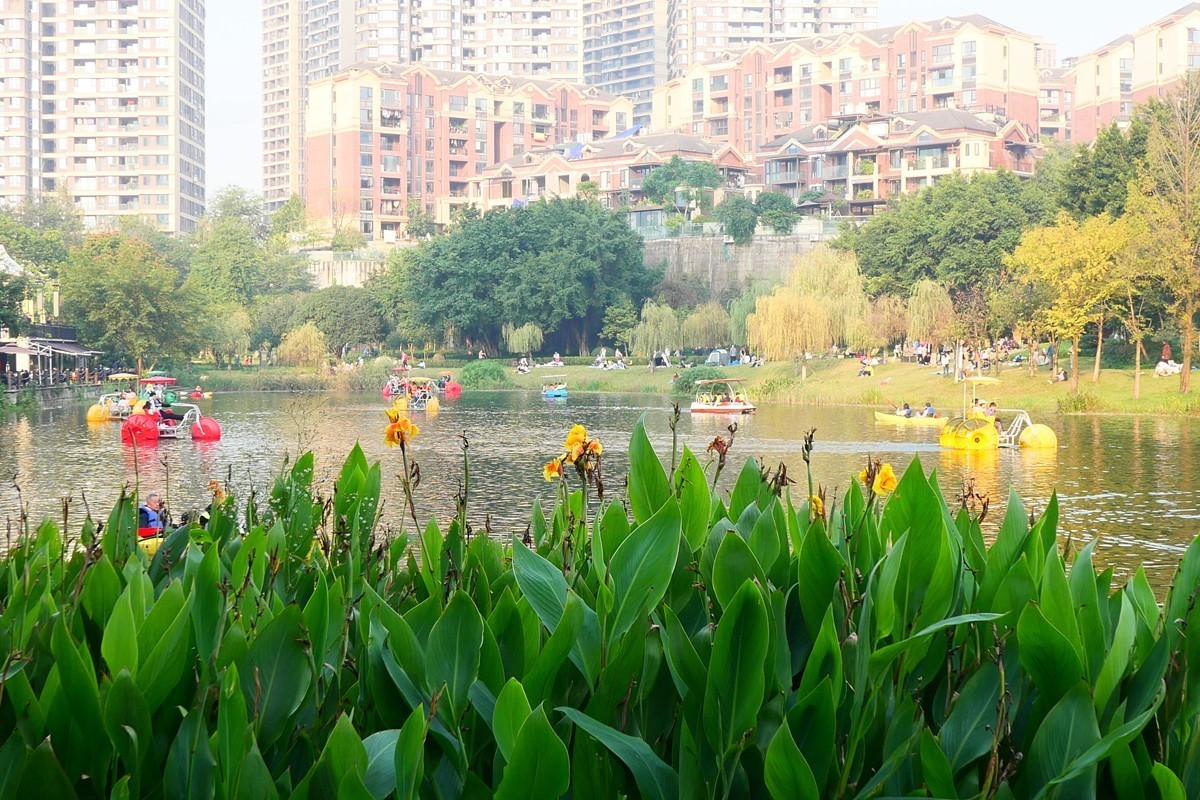 初冬融侨公园（七）完