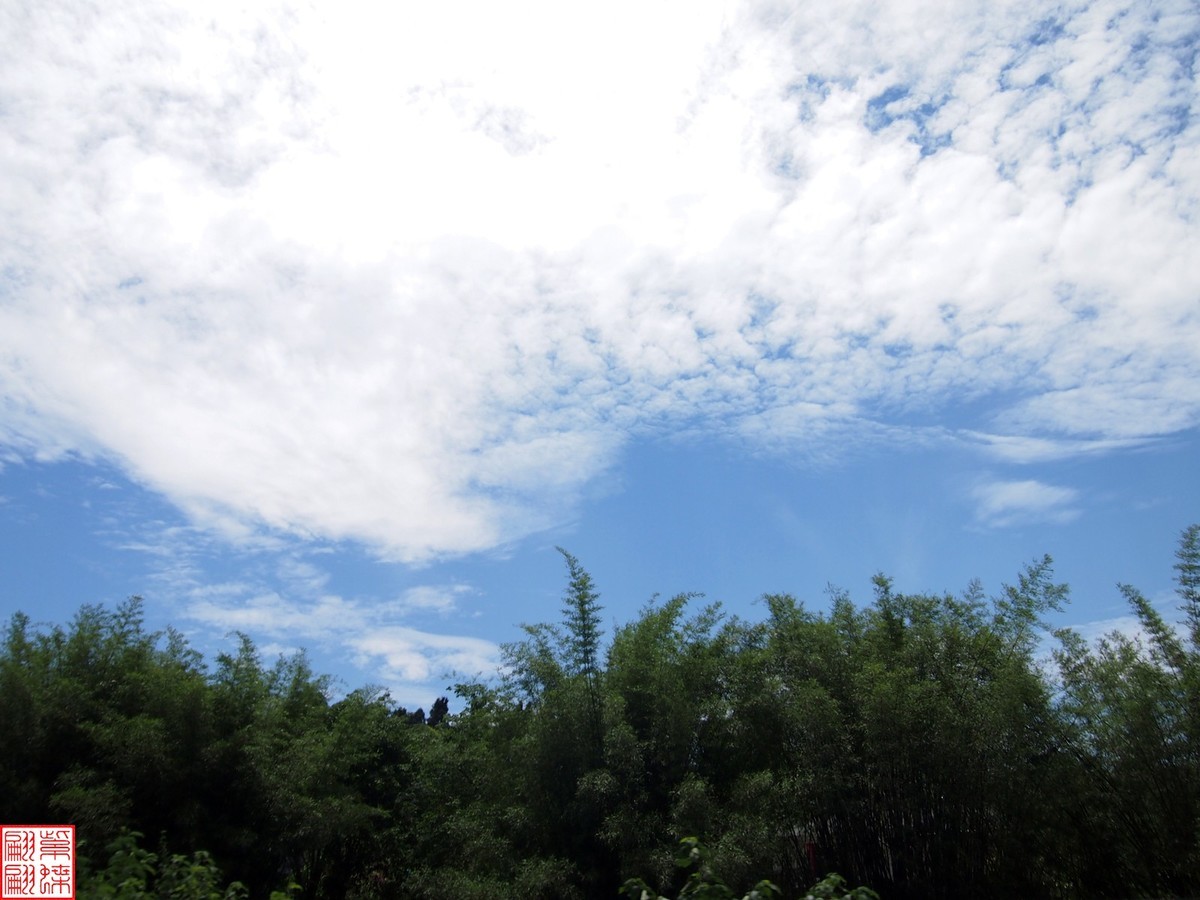 路过宜宾随拍之四