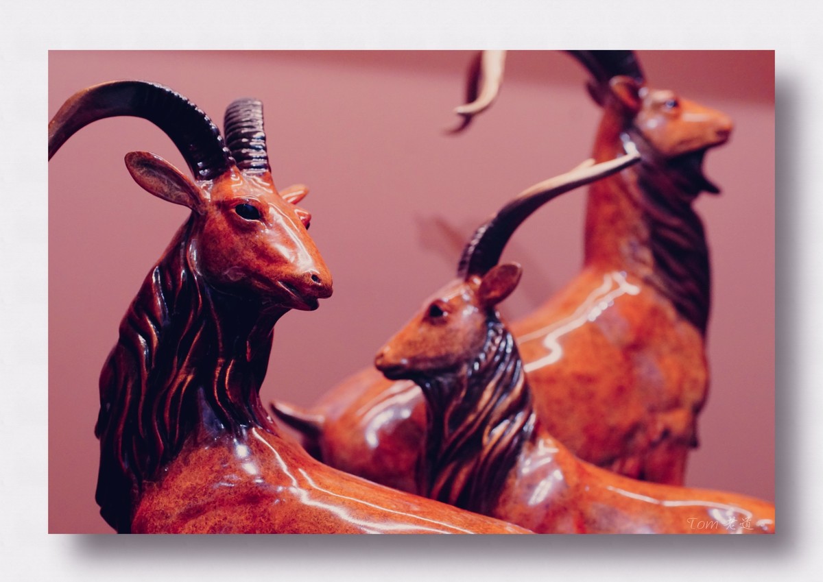 几张艺术品摄影