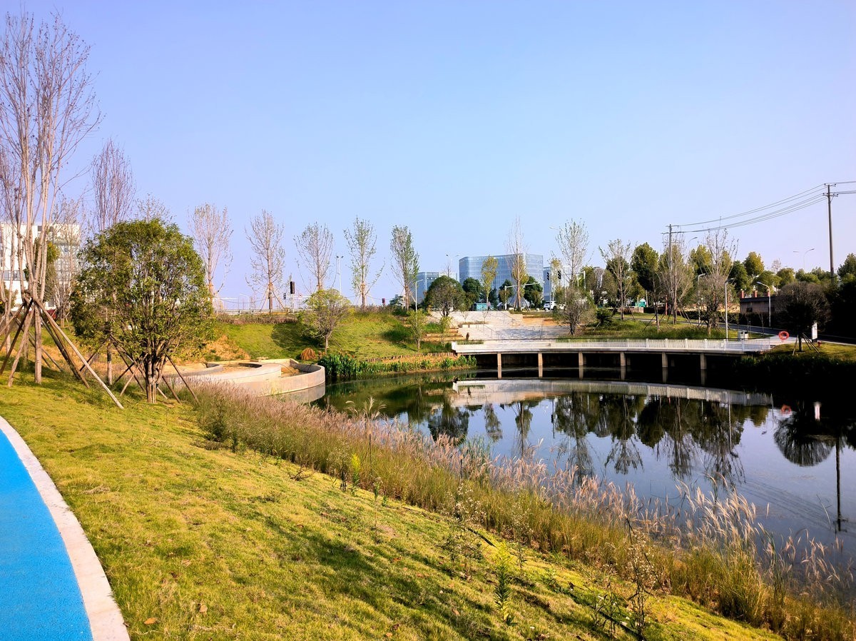 漫步星城 走街串巷（508）东湖野趣