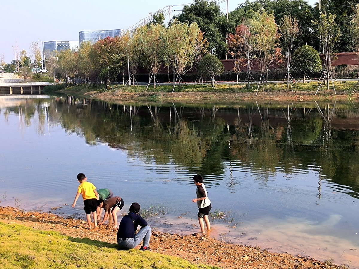漫步星城 走街串巷（508）东湖野趣