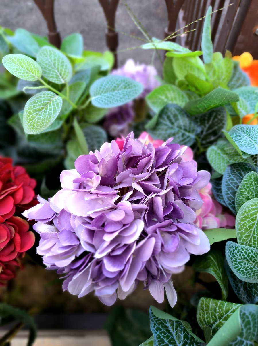 漫步星城 走街串巷（508）东湖野趣