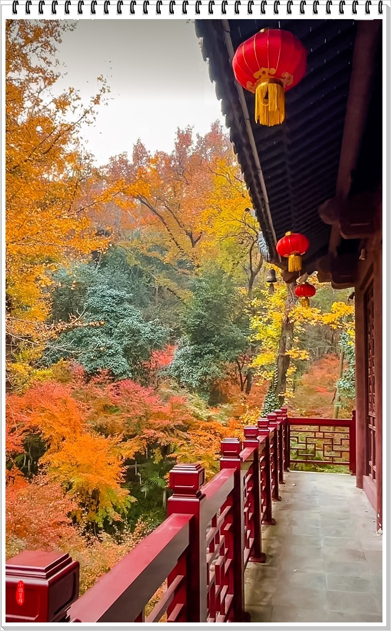 2024年- 江南好风光纪实抓拍-1081