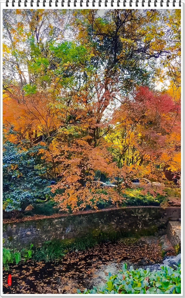 2024年- 江南好风光纪实抓拍-1081