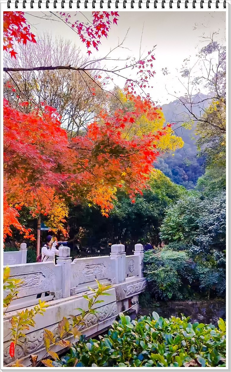 2024年- 江南好风光纪实抓拍-1081