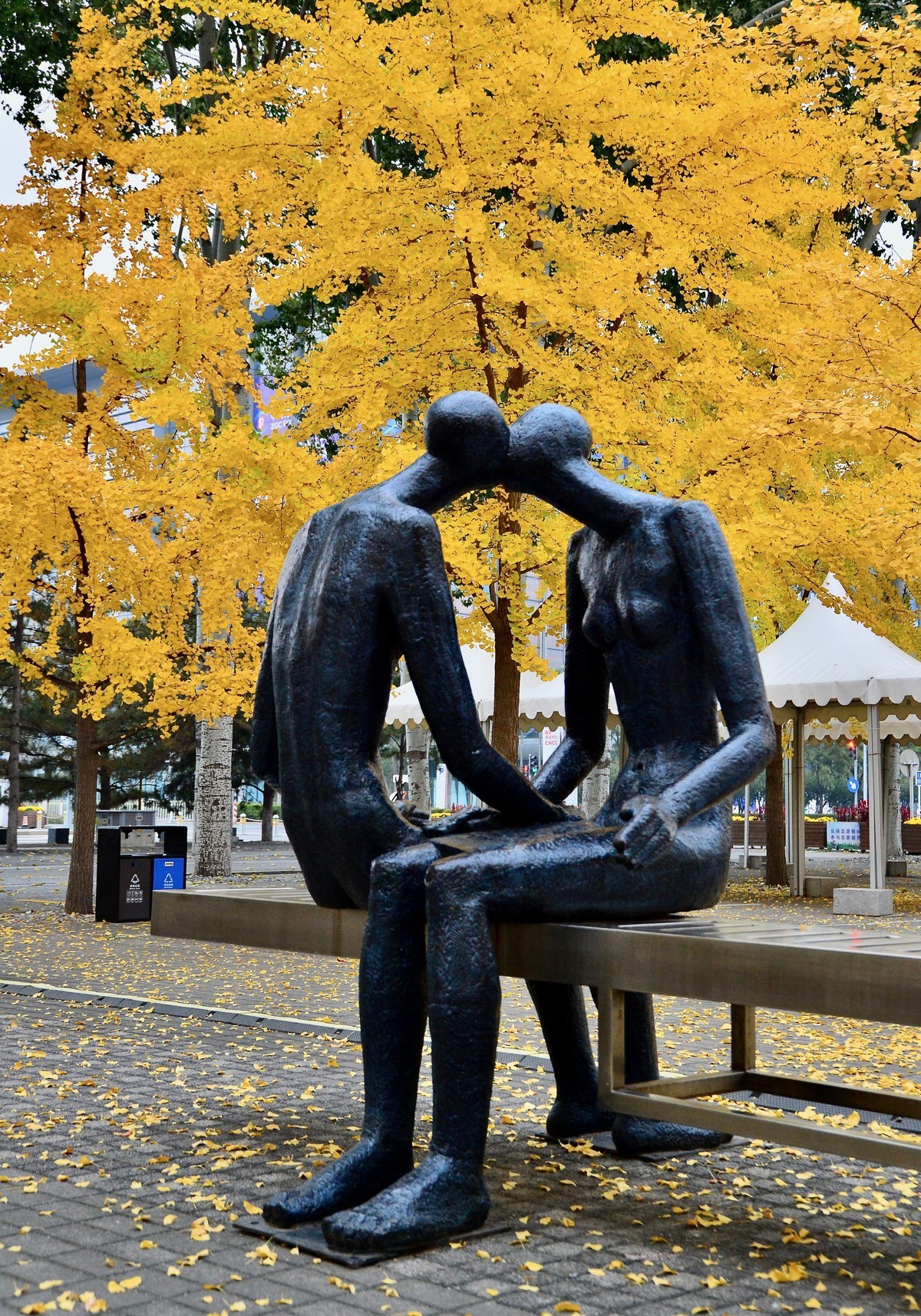 爱在深秋，拍于鸟巢