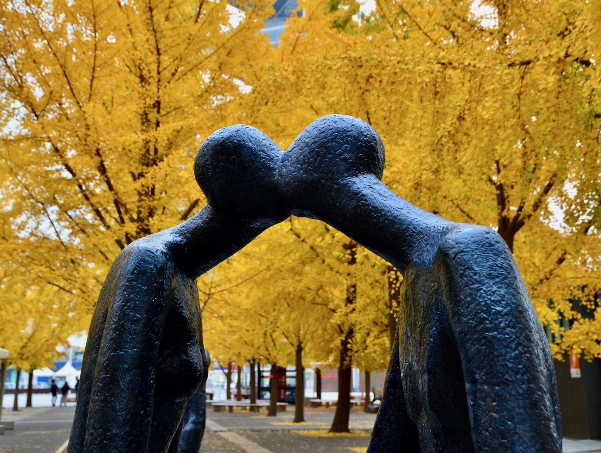 爱在深秋，拍于鸟巢