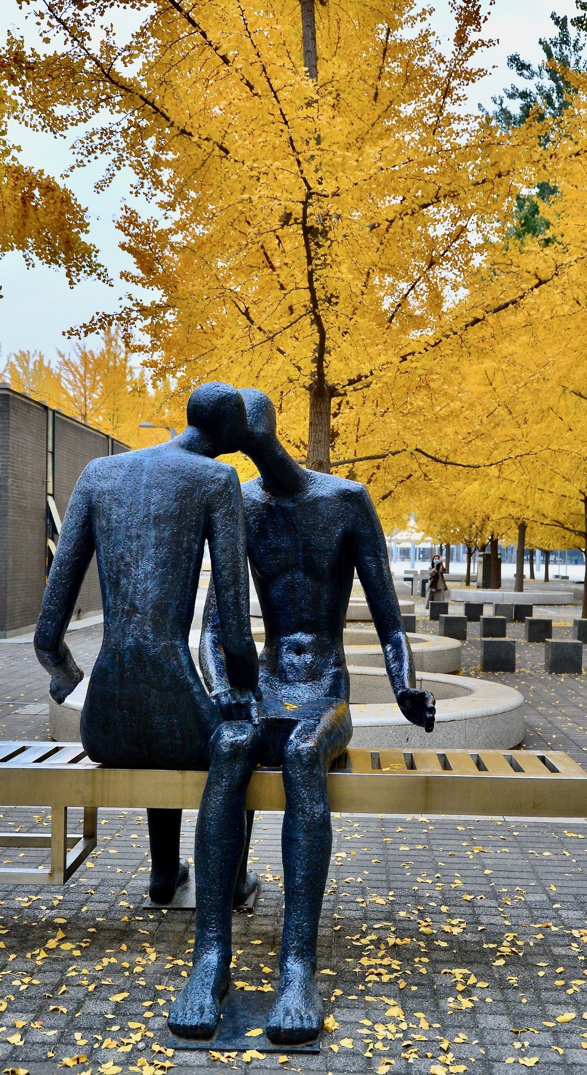 爱在深秋，拍于鸟巢