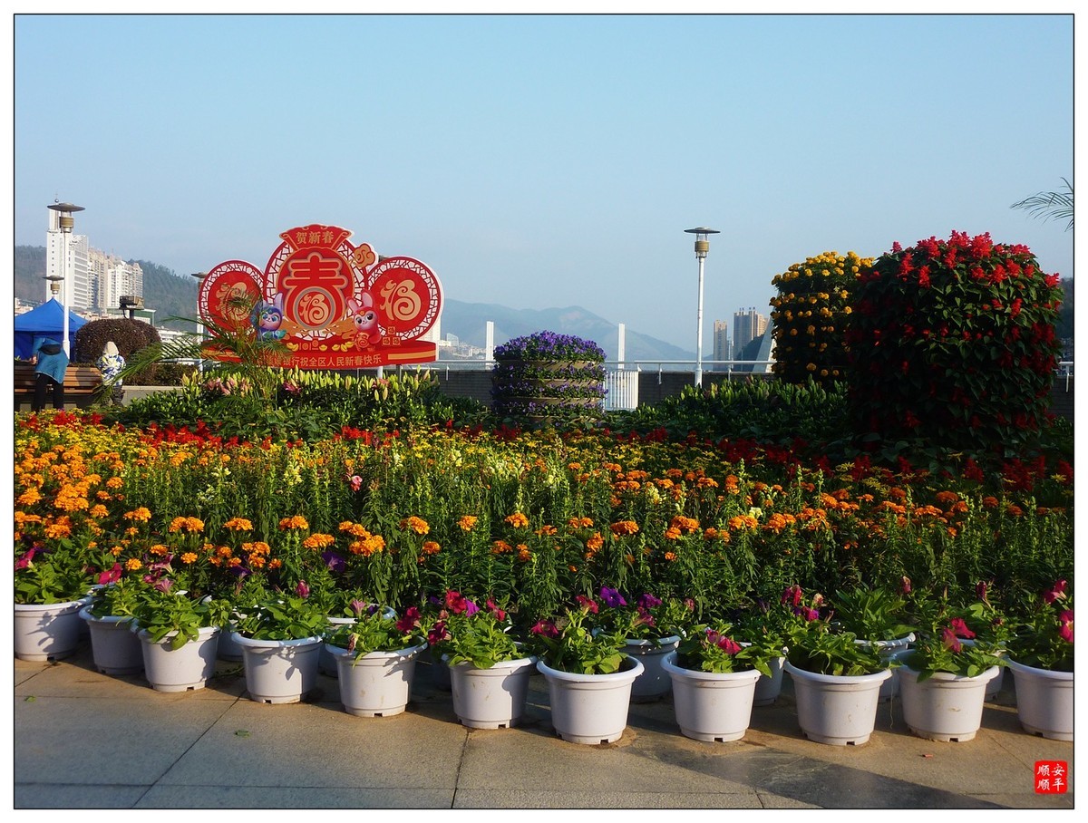 #2023不一样的春节#------小城一道亮丽风景