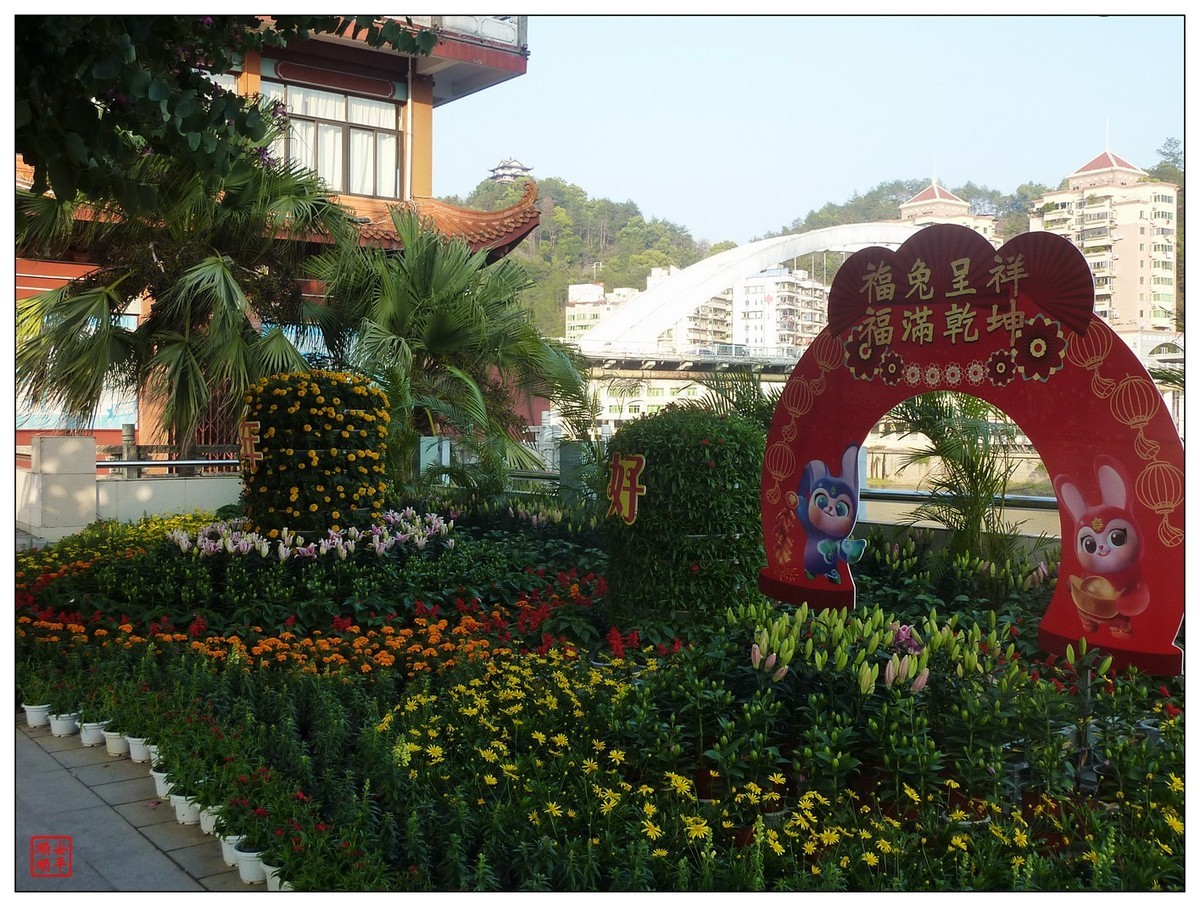 #2023不一样的春节#------小城一道亮丽风景