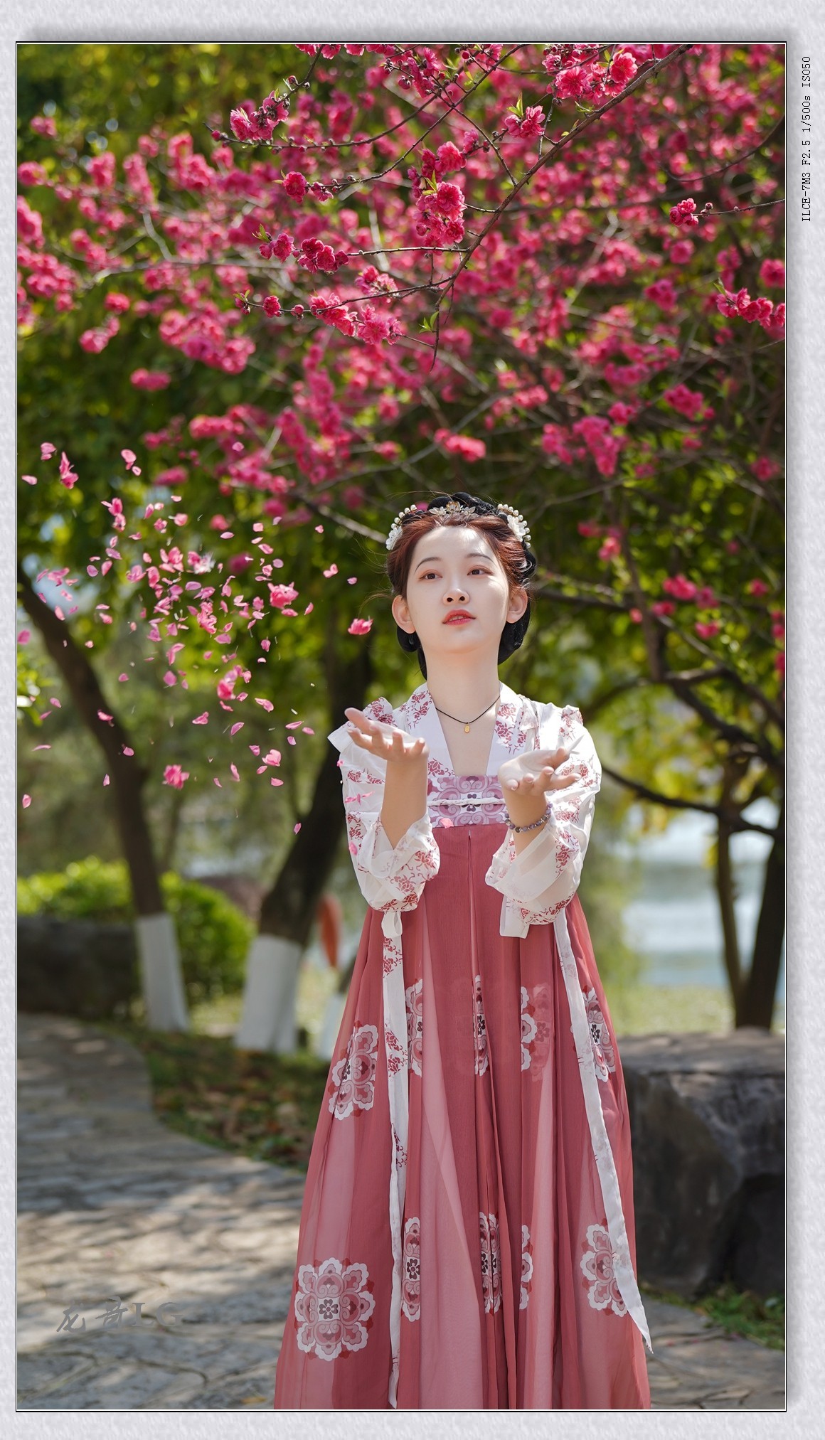 《春满校园系列》之七-----桃之夭夭，灼灼其华