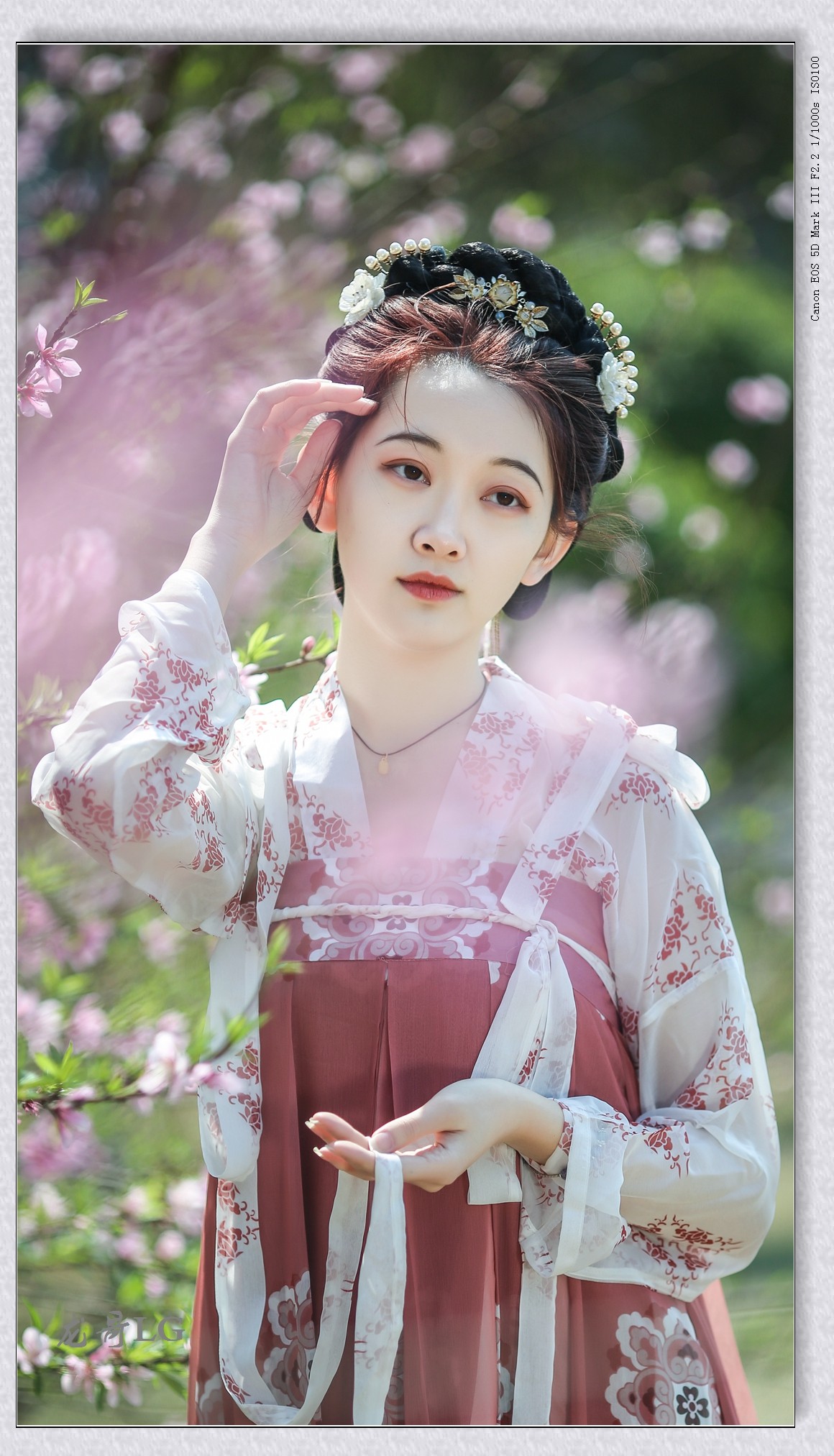 《春满校园系列》之七-----桃之夭夭，灼灼其华