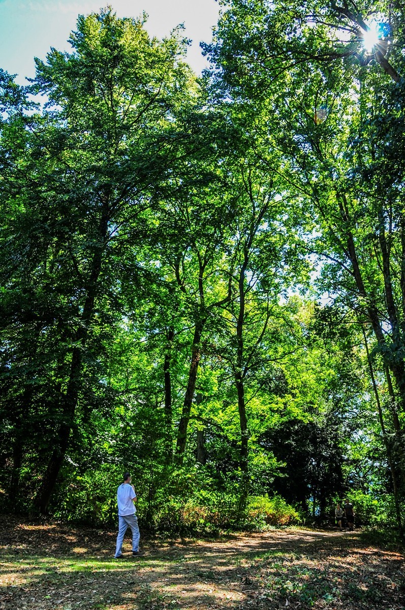 弗莱堡掠影（德国之西南重镇）