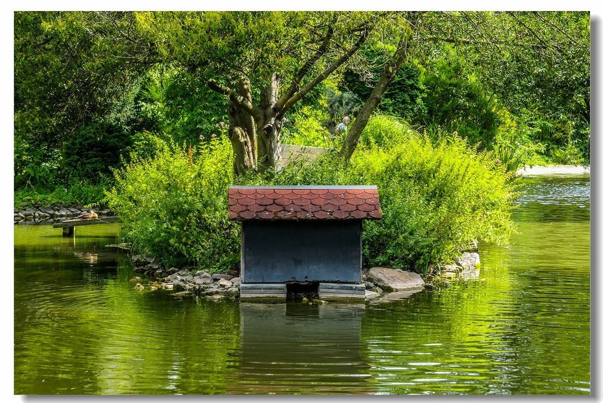 南德之休闲疗养小镇——Badenweiler